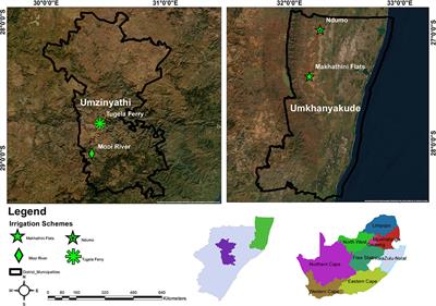 Evaluation of water-user performance in smallholder irrigation schemes in KwaZulu-Natal Province, South Africa: A stochastic meta-frontier analysis